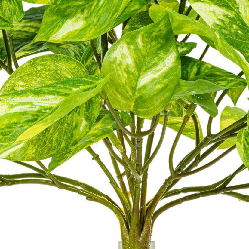 Vickerman 25" Artificial Manjula Pothos Bush