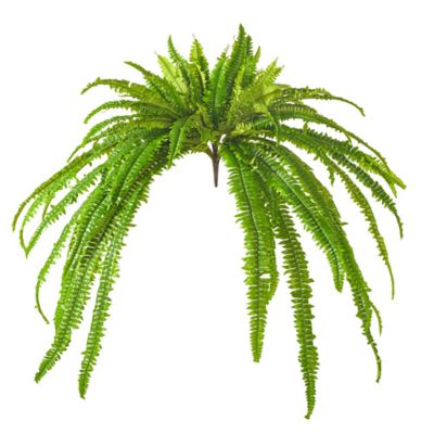 Vickerman 50" Green Artificial Boston Fern Bush