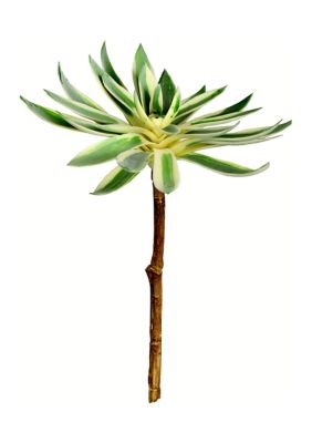Vickerman Green Succulent Spray