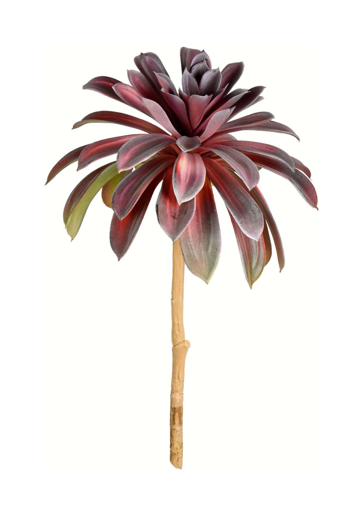 Green Succulent Spray