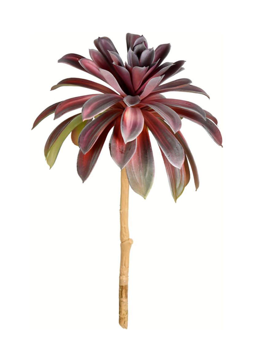 Green Succulent Spray