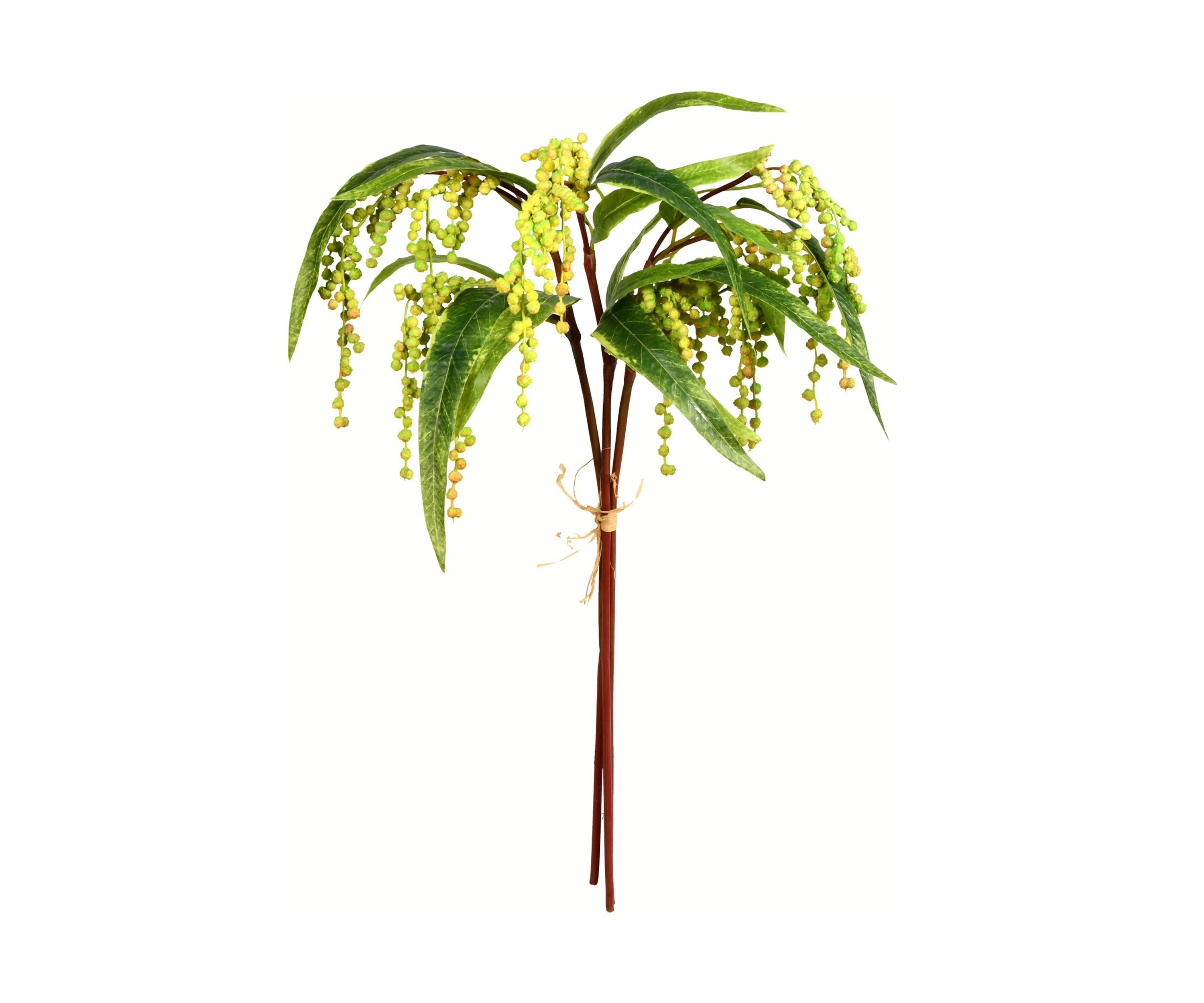 Green Plant Bundle