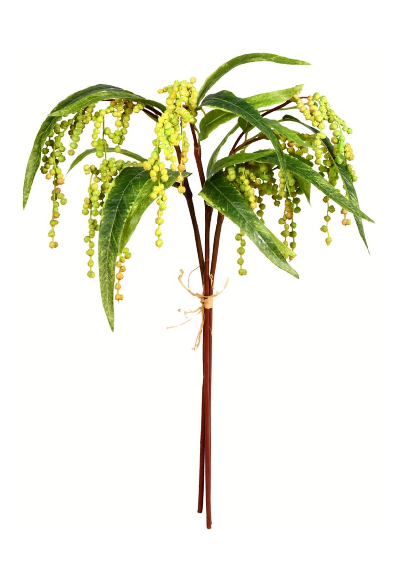 Green Plant Bundle