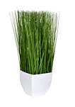 Green Potted Grass