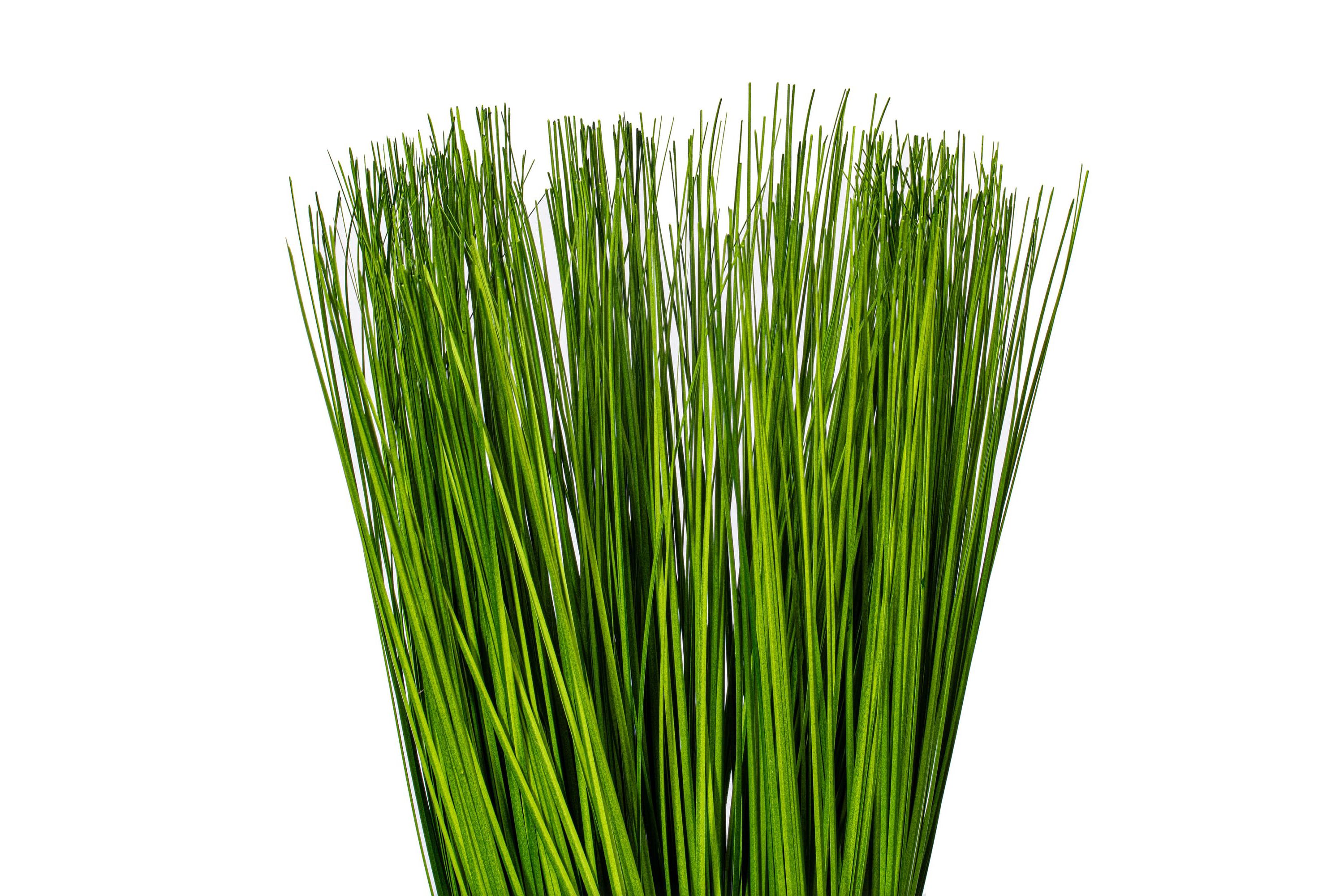 Vickerman 16.5" Artificial Green Potted Grass.