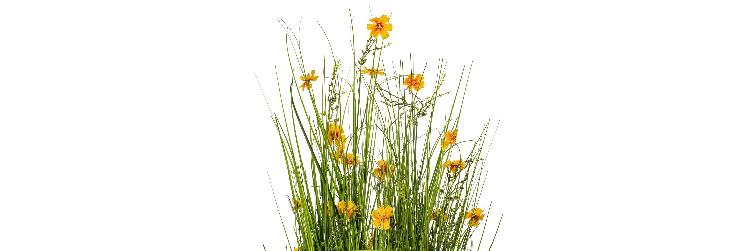 Vickerman 42" Artificial Potted Yellow Cosmos and Green Grass.