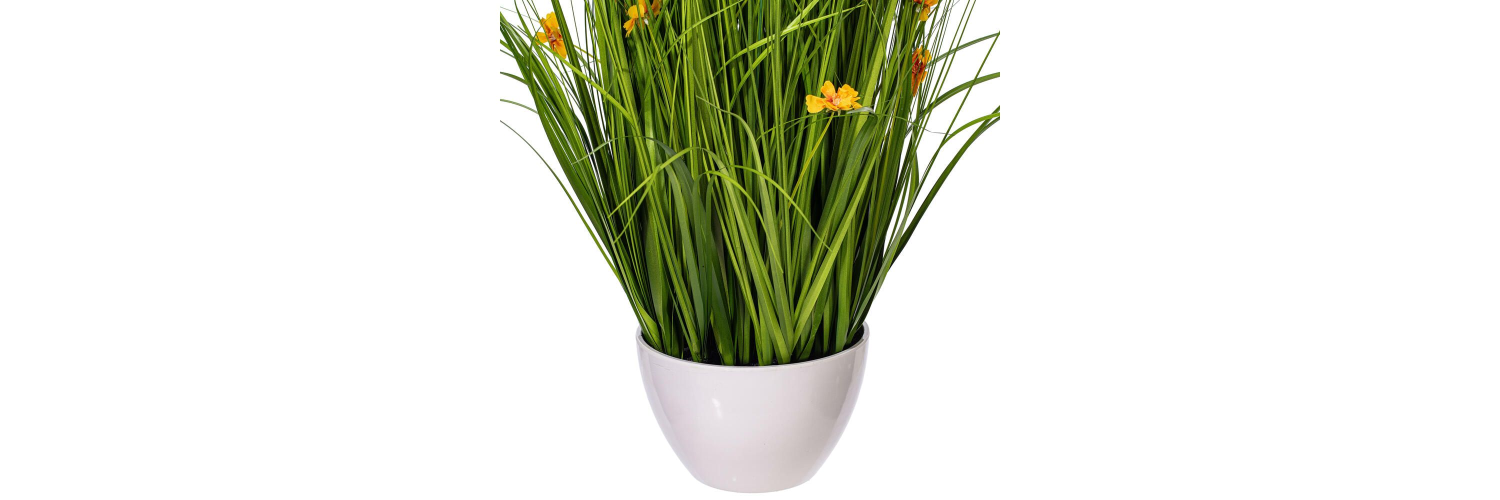 Vickerman 42" Artificial Potted Yellow Cosmos and Green Grass.
