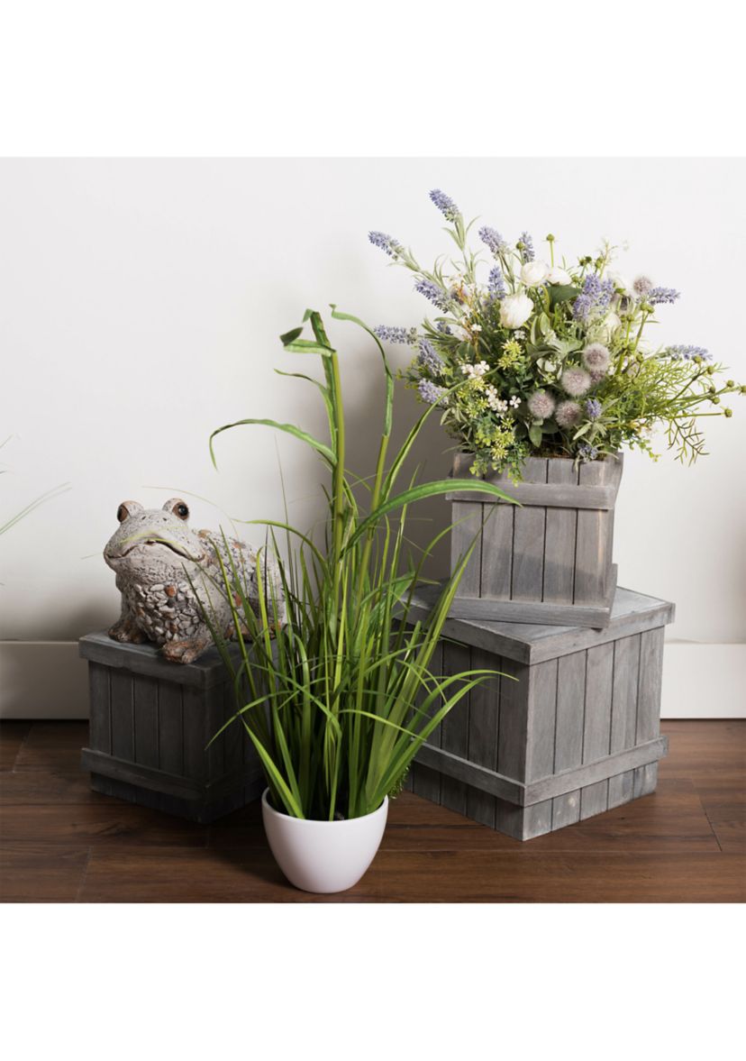 Green Potted Bamboo and Grass