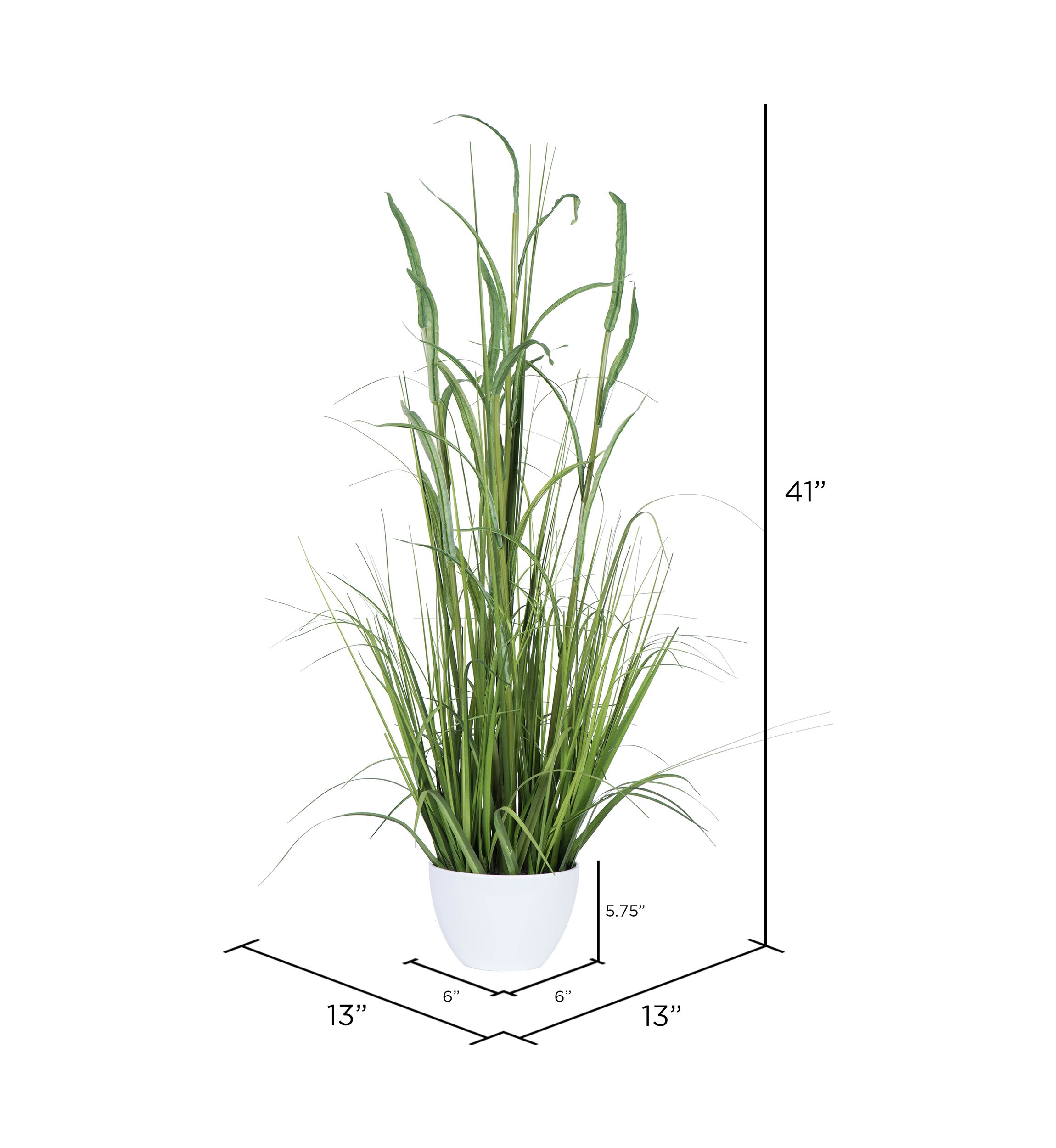 Green Potted Bamboo and Grass
