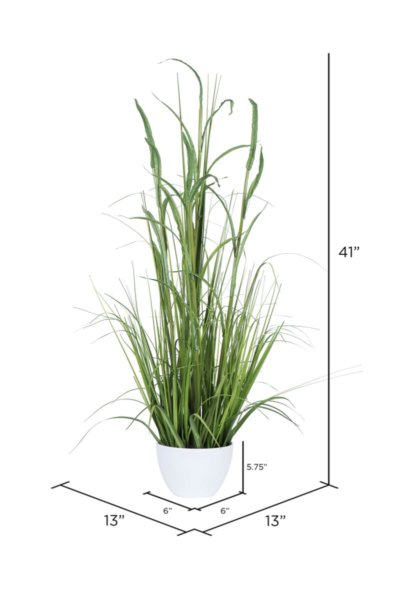 Green Potted Bamboo and Grass