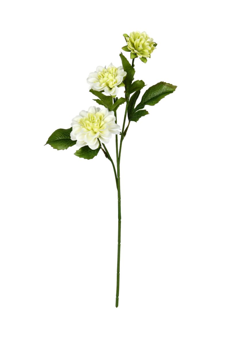 Cream Dahlia Spray - Set of 6