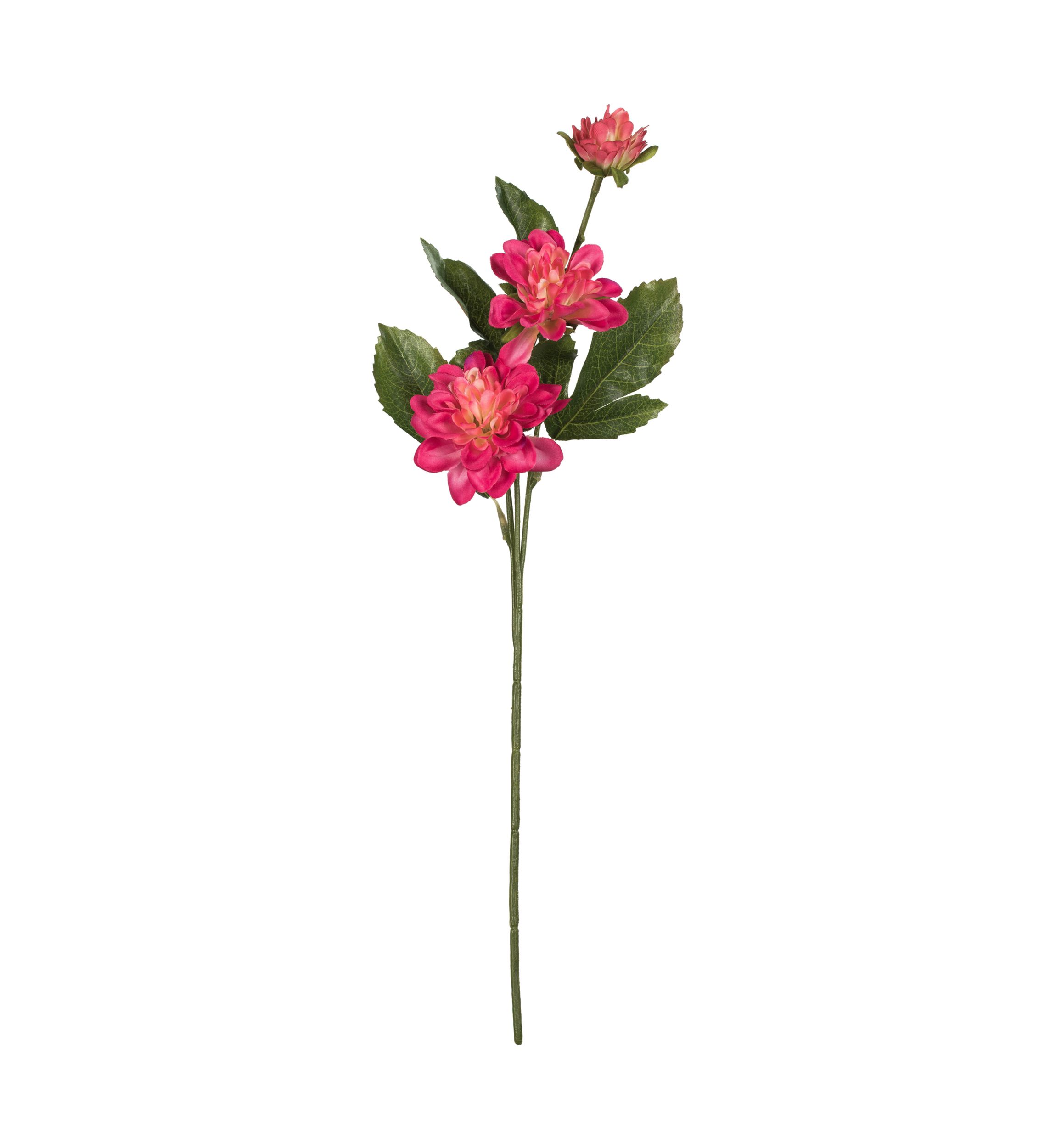 Fuchsia Dahlia Spray - Set of 6