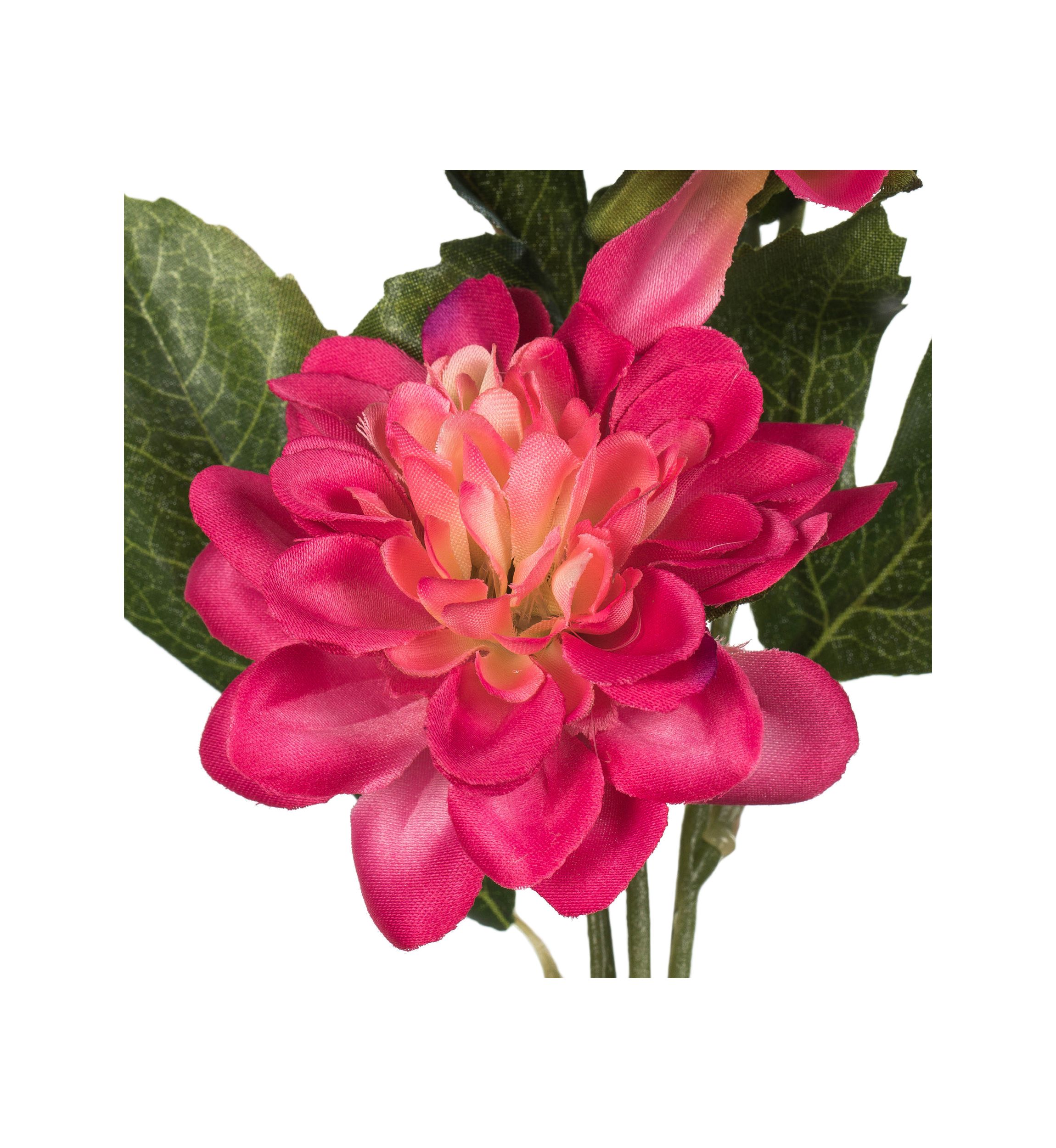 Fuchsia Dahlia Spray - Set of 6