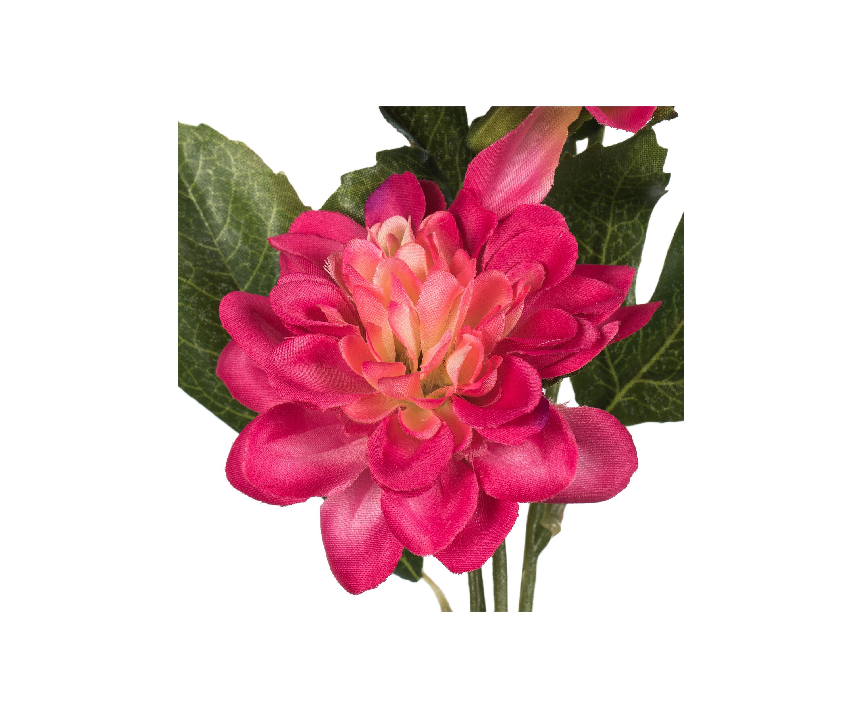 Fuchsia Dahlia Spray - Set of 6