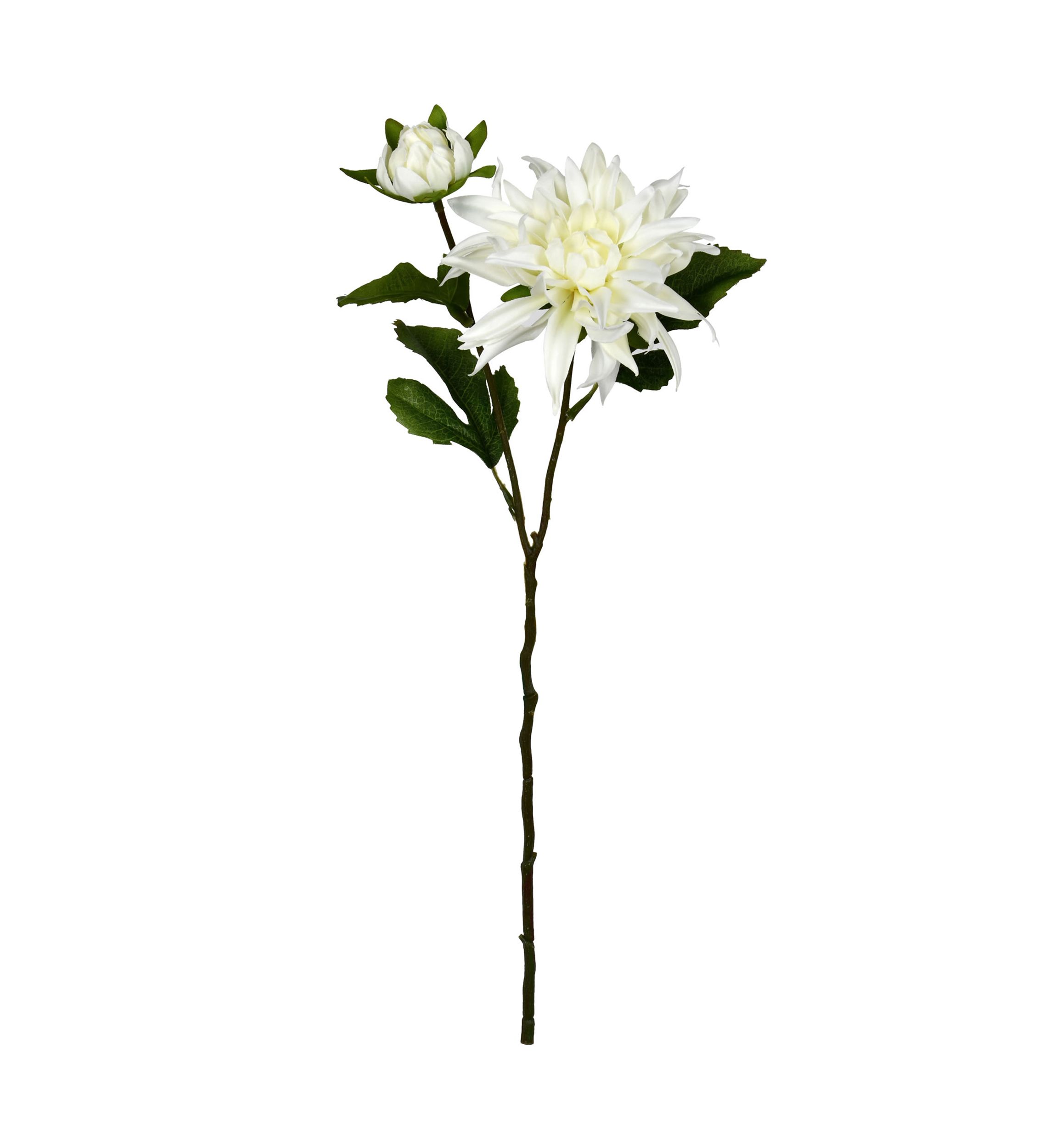 Cream Dahlia Spray - Set of 6