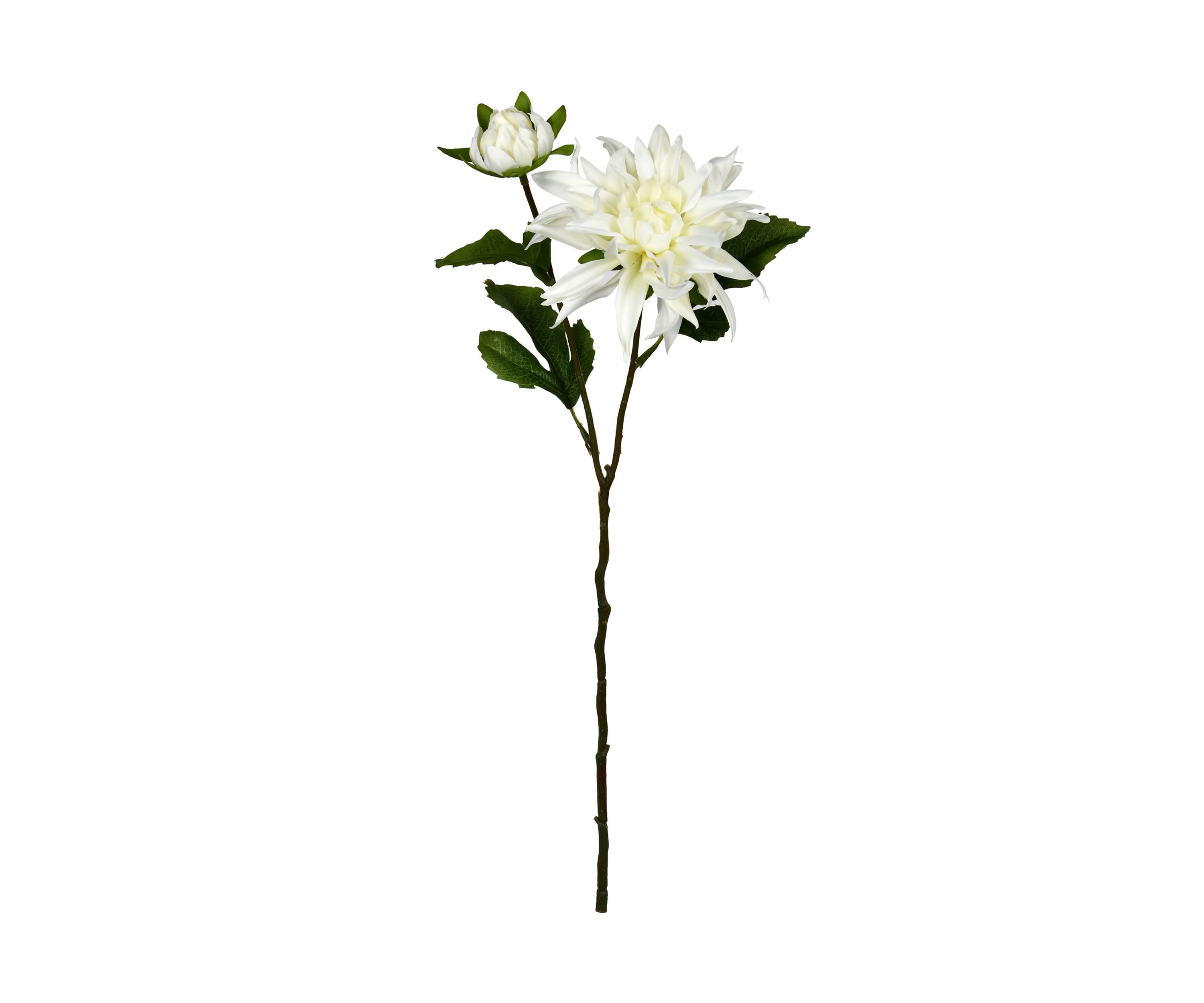 Cream Dahlia Spray - Set of 6