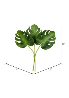 Green Split Philo Leaf Bundle Set