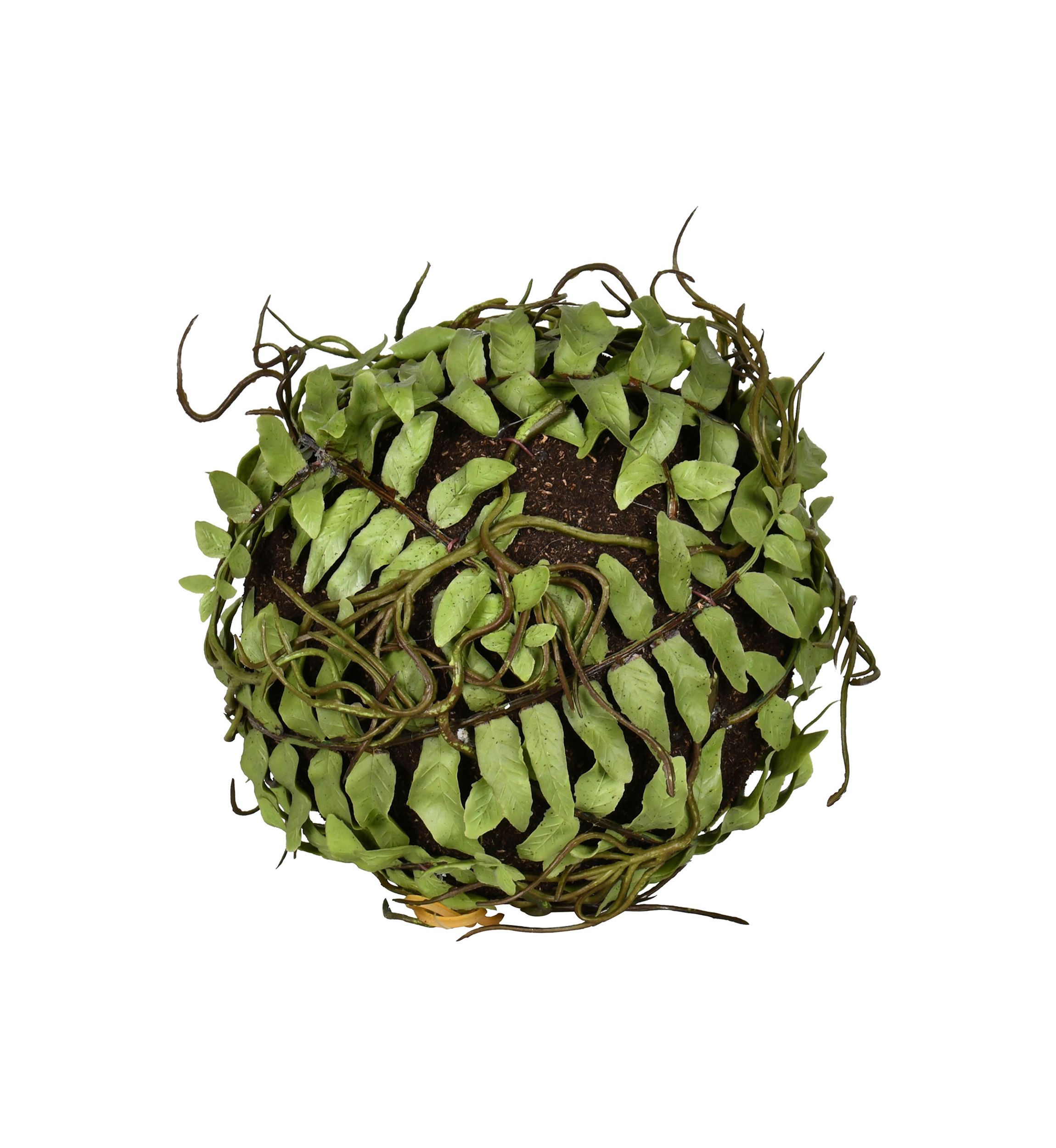 Green Boston Fern Ball - Set of 2