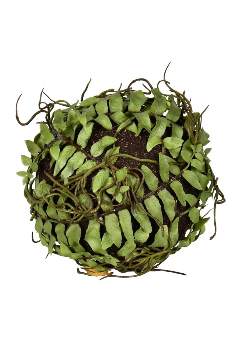 Green Boston Fern Ball - Set of 2