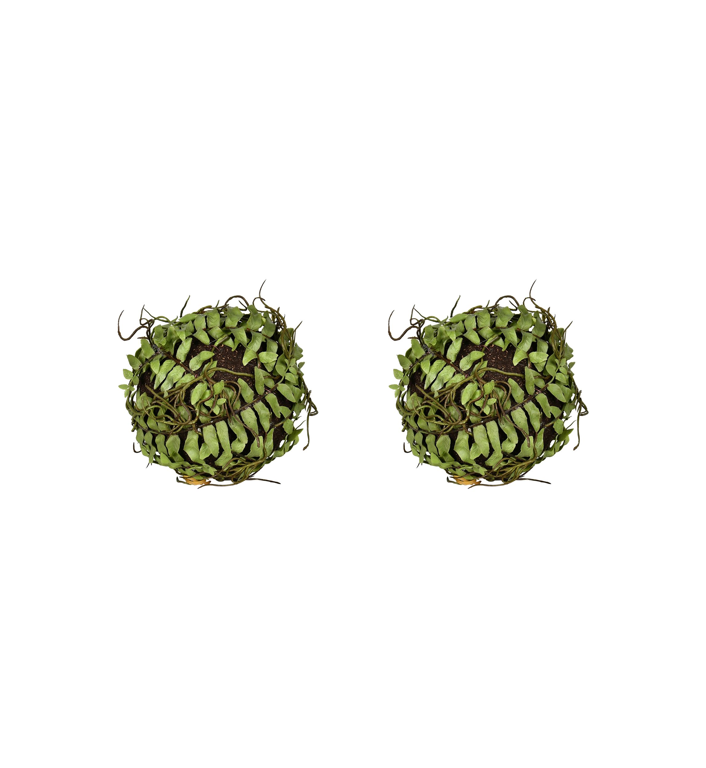 Green Boston Fern Ball - Set of 2