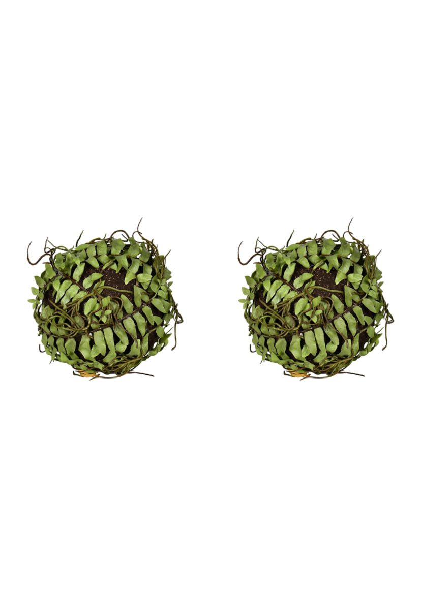Green Boston Fern Ball - Set of 2