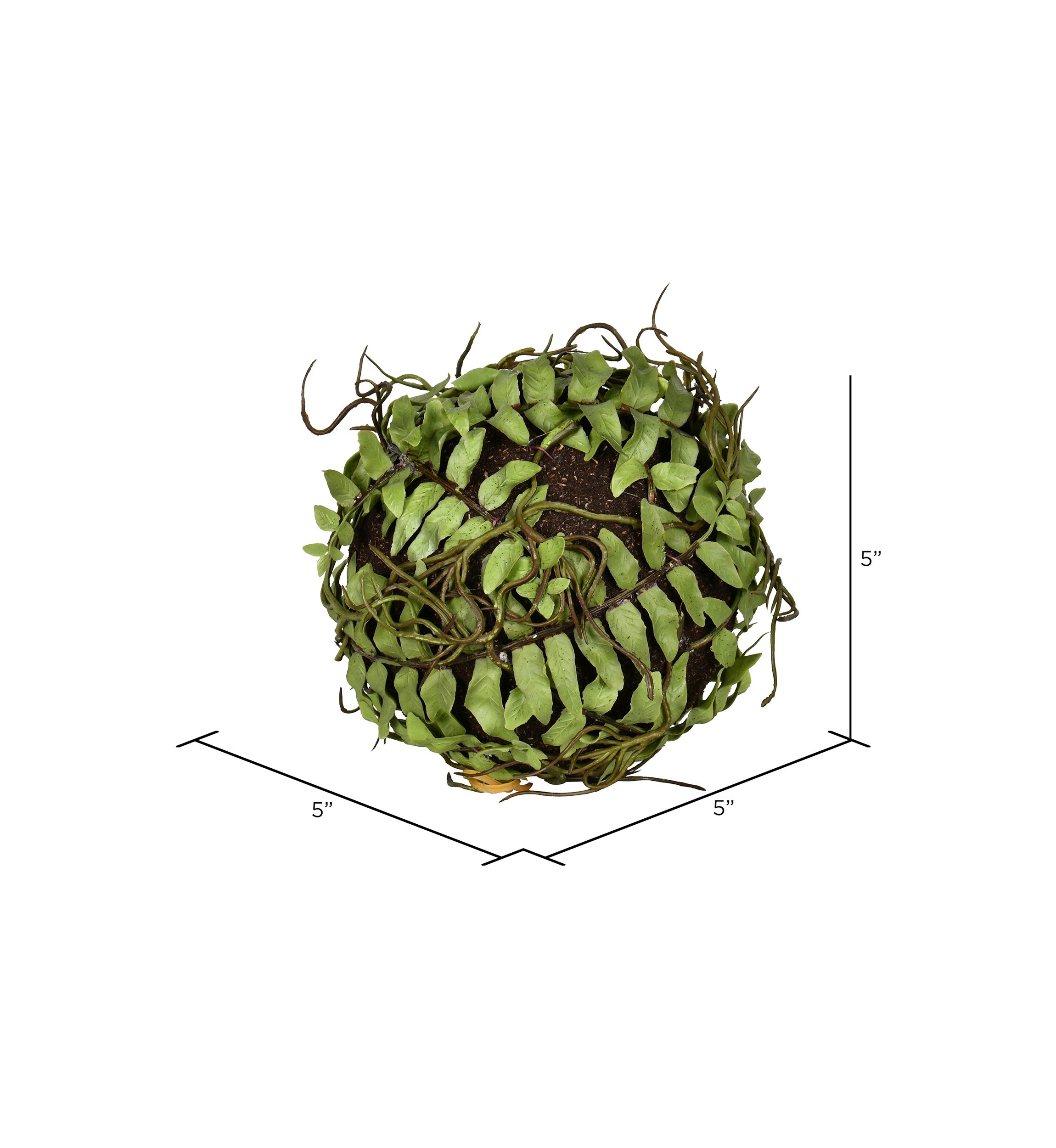 Green Boston Fern Ball - Set of 2