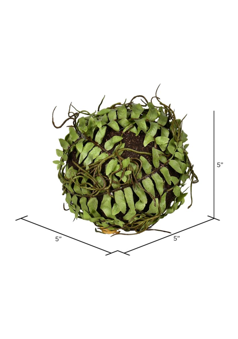 Green Boston Fern Ball - Set of 2