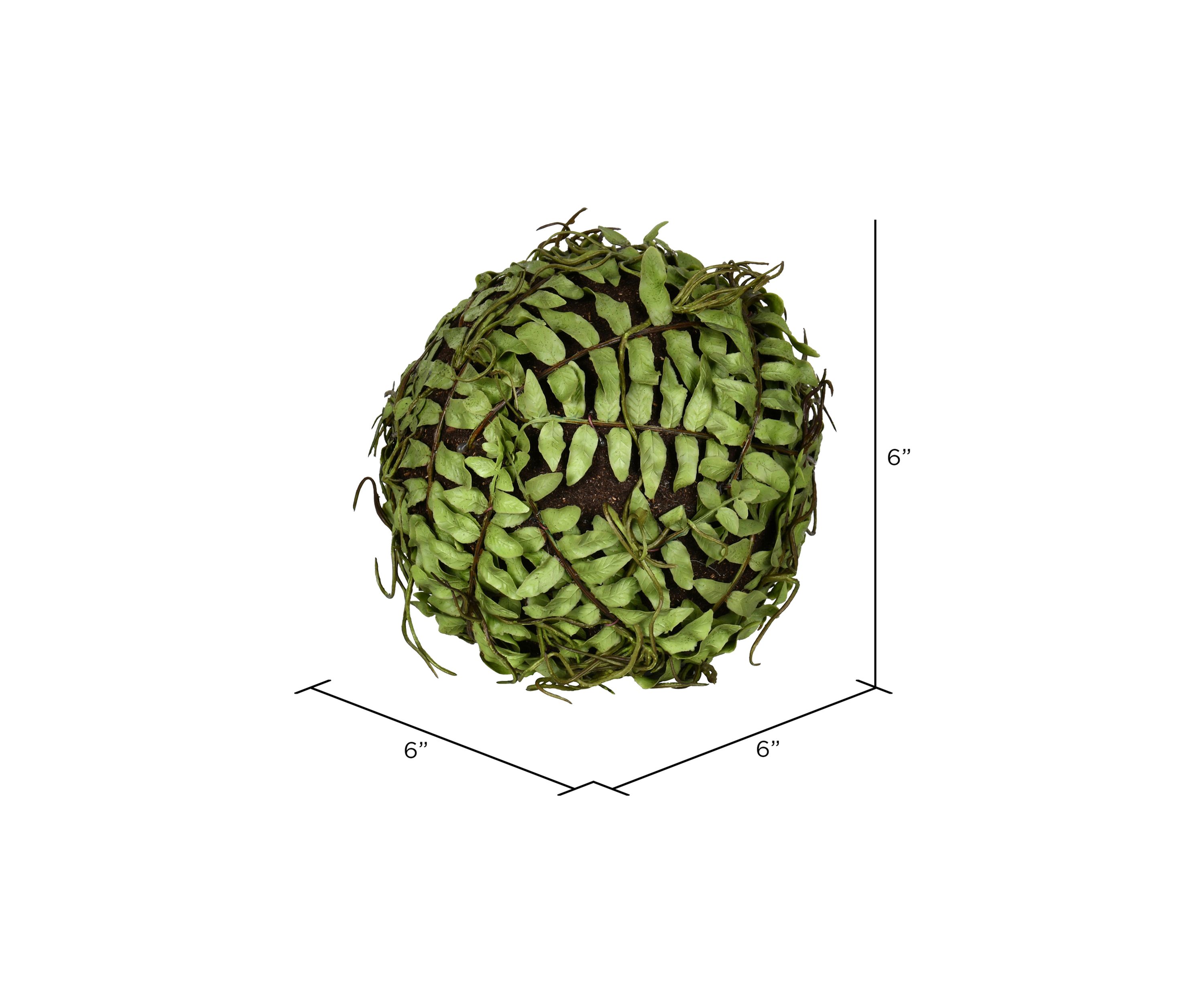 Green Boston Fern Ball