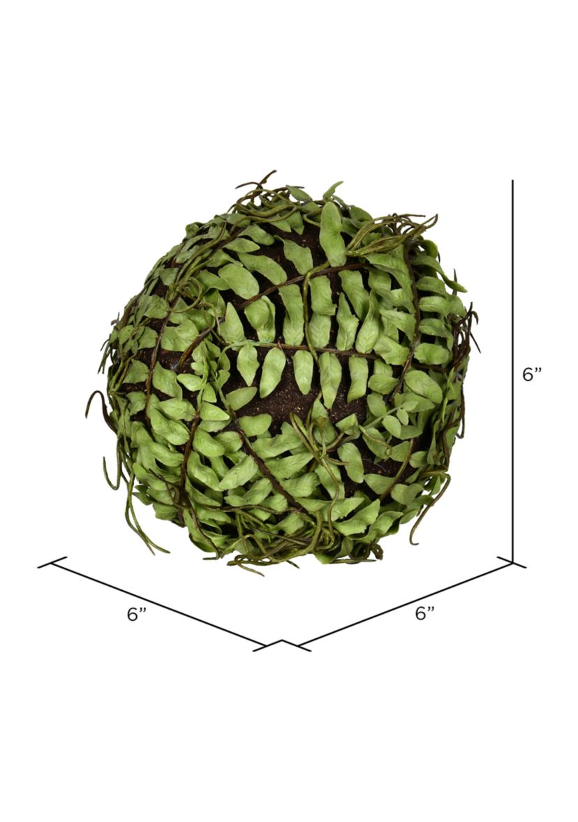 Green Boston Fern Ball