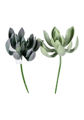 Vickerman Green Echeveria Spray