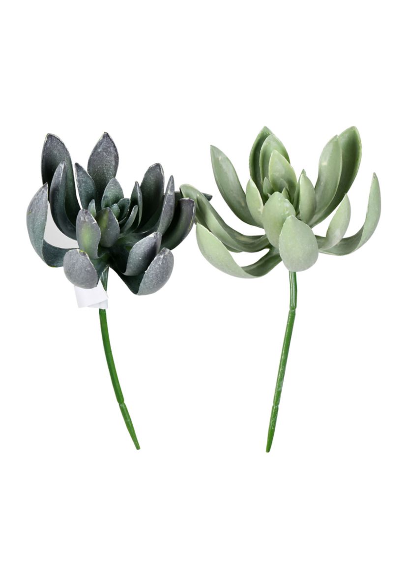Green Echeveria Spray