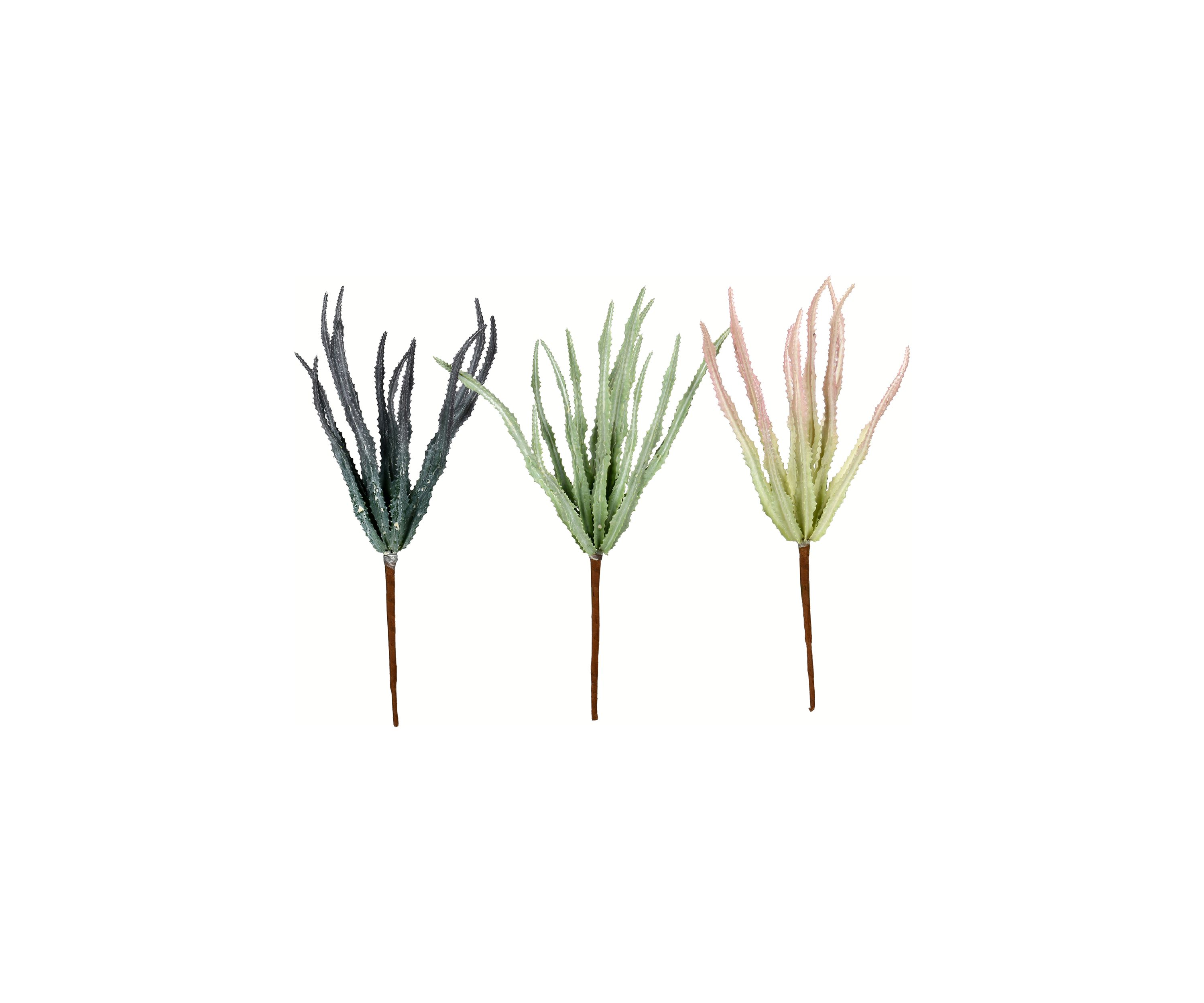 Mixed Green Haworthia Spray