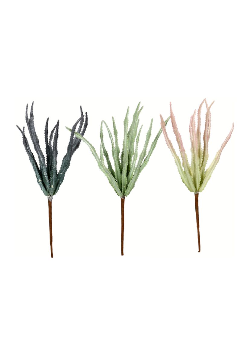 Mixed Green Haworthia Spray