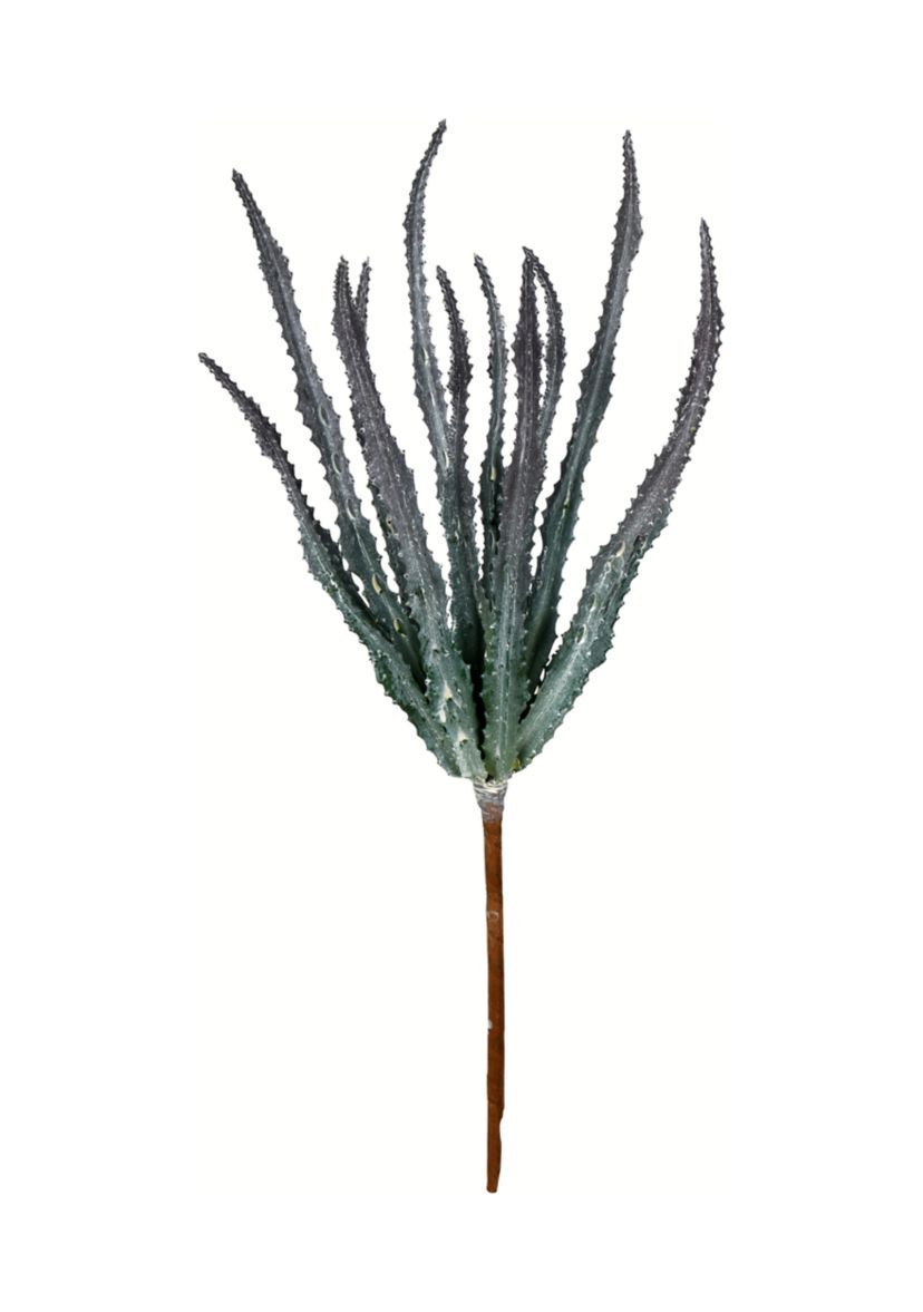 Mixed Green Haworthia Spray