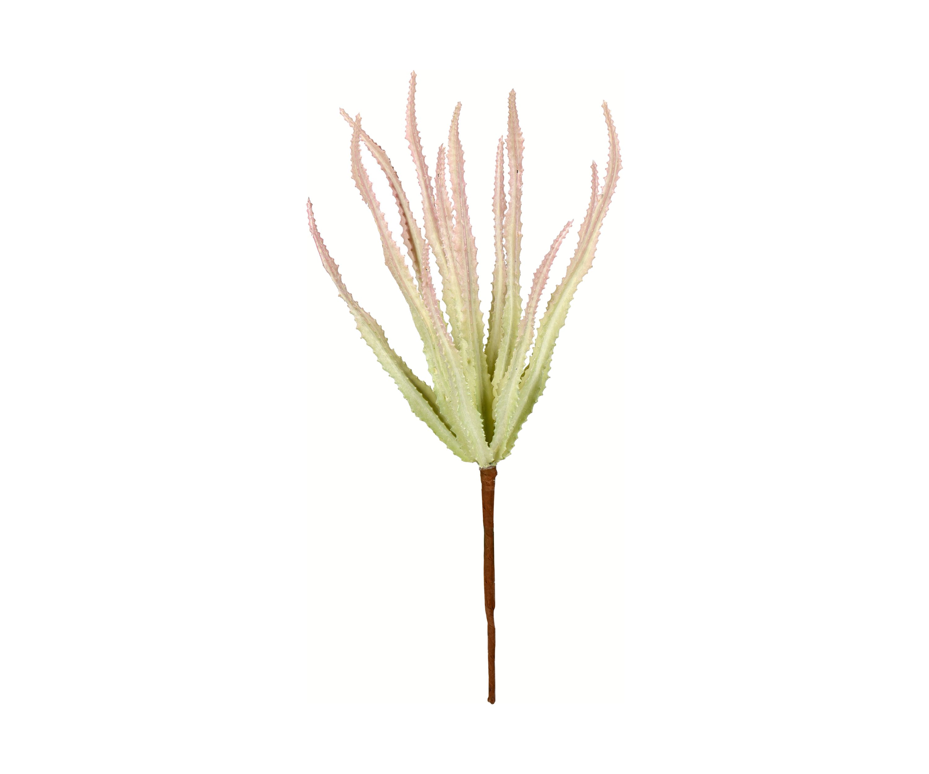 Mixed Green Haworthia Spray