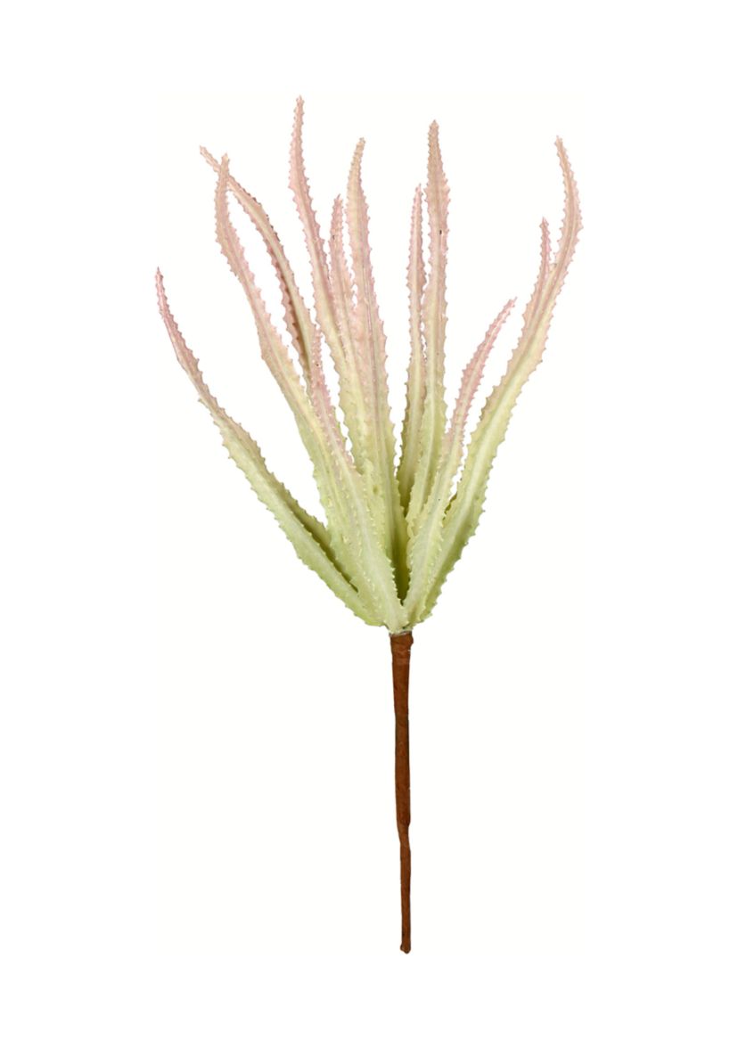 Mixed Green Haworthia Spray