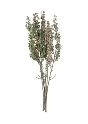 Vickerman Rust Green Senecio Spray