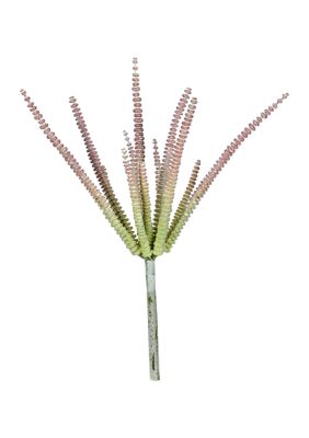 Vickerman Mixed Green Haworthia Spray