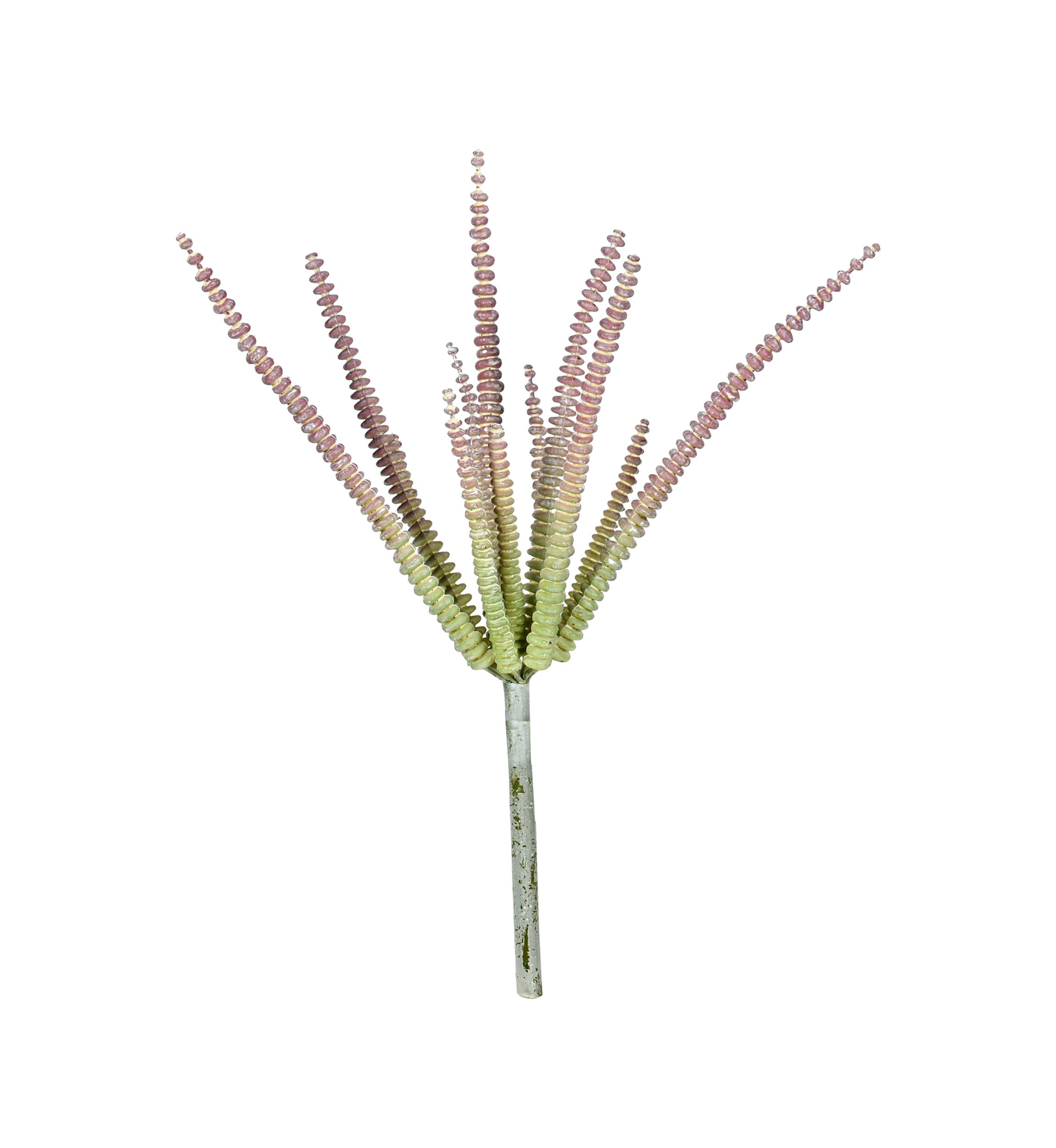 Mixed Green Haworthia Spray