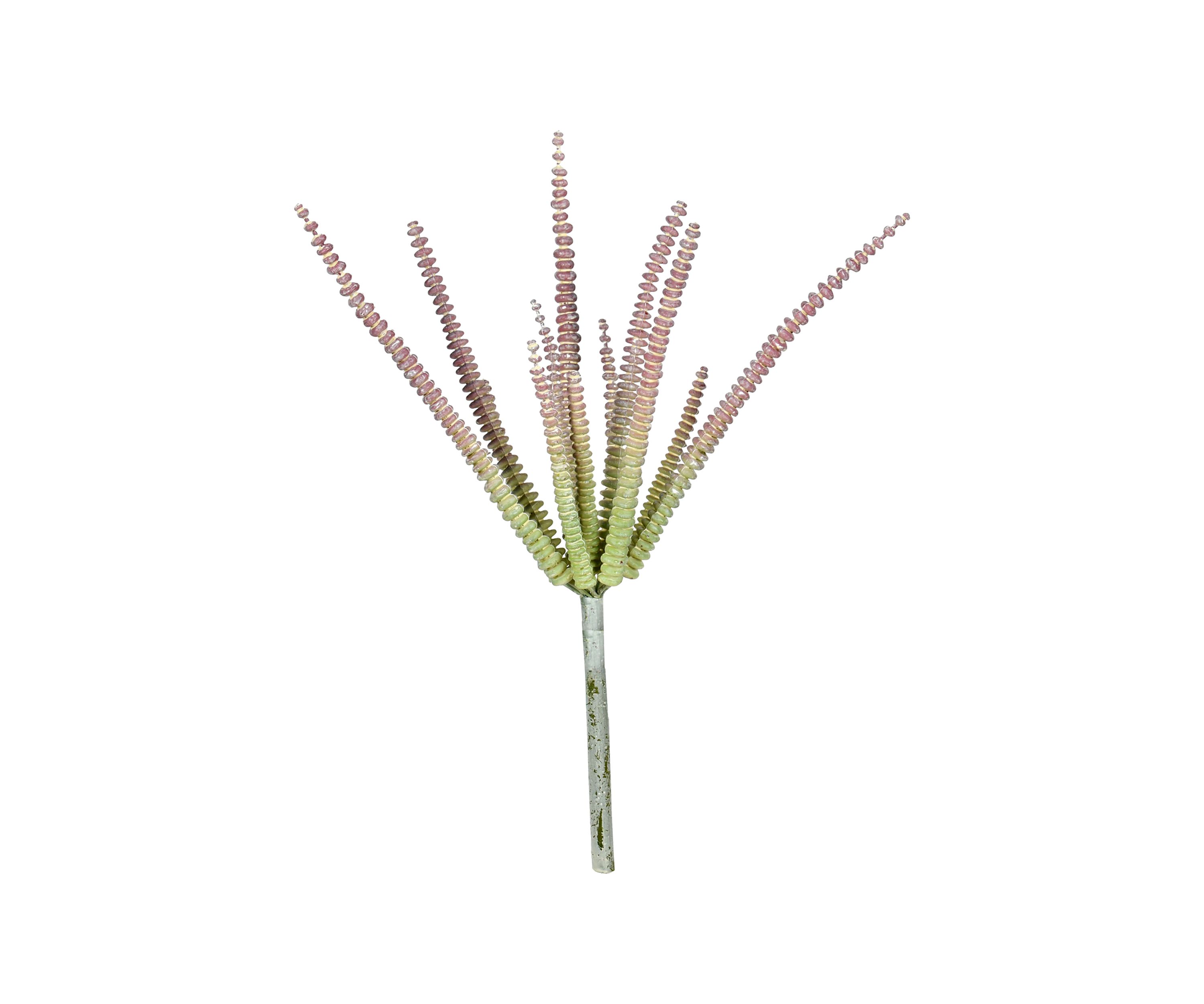 Mixed Green Haworthia Spray