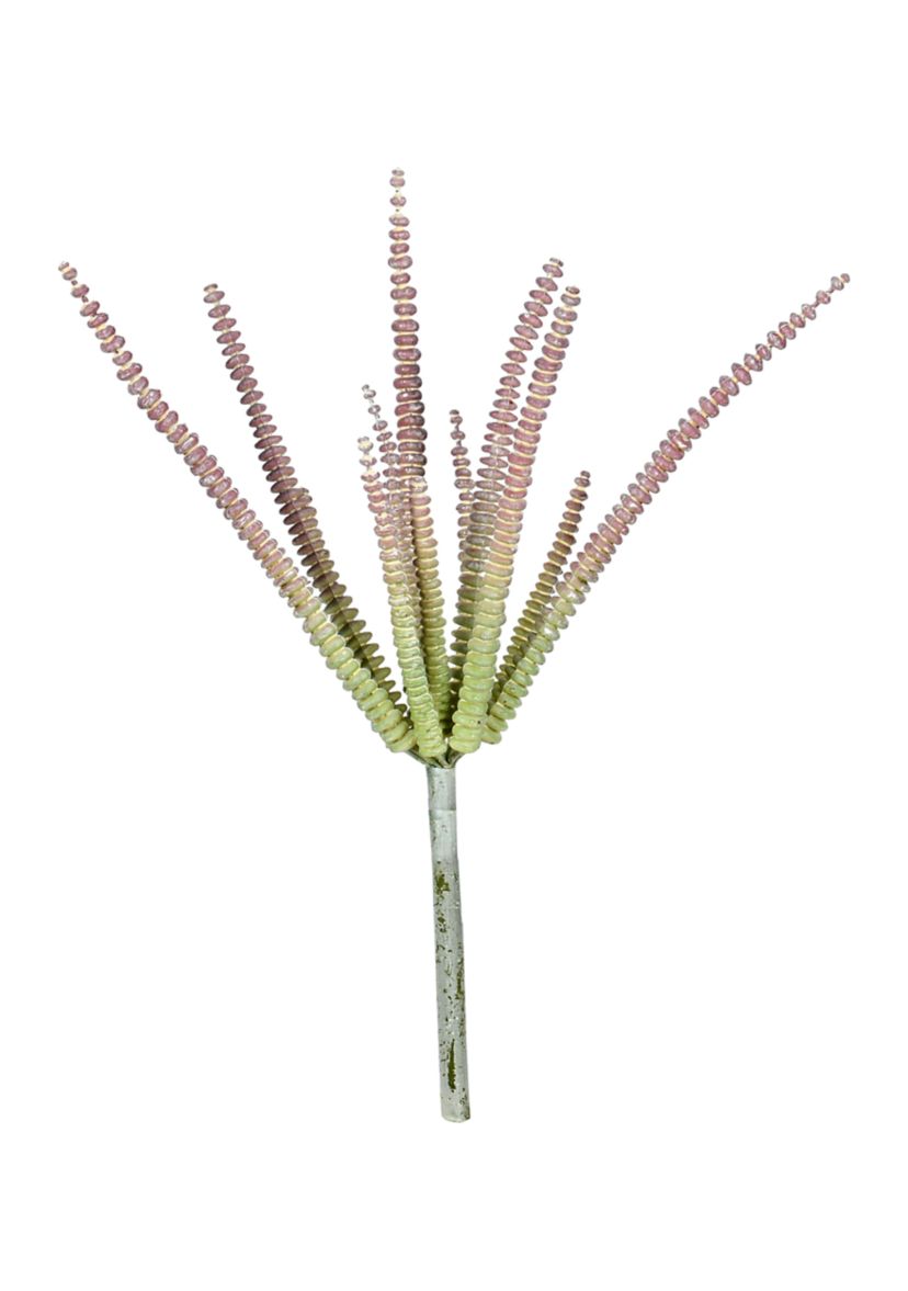 Mixed Green Haworthia Spray