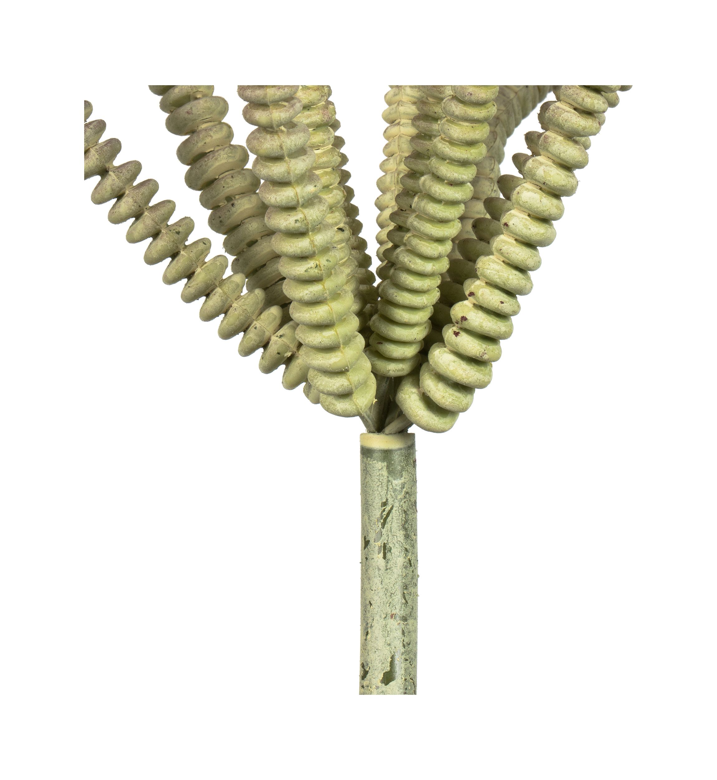 Mixed Green Haworthia Spray