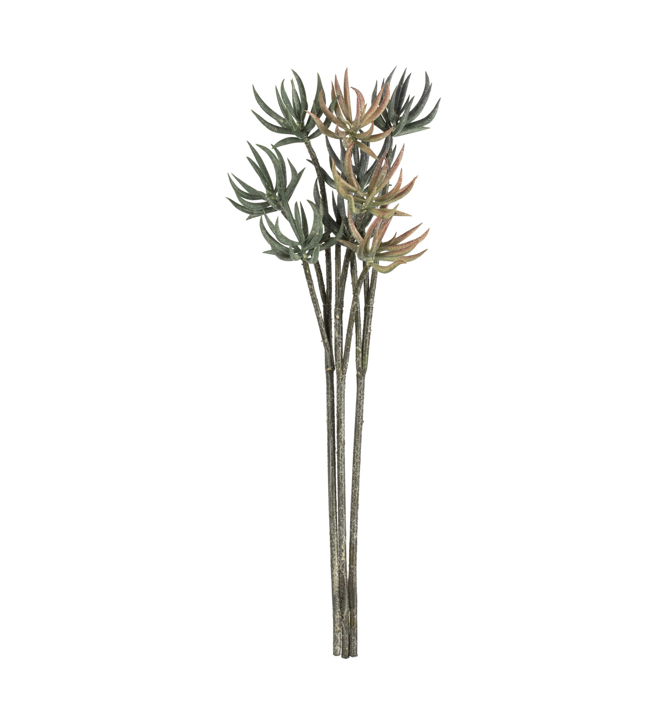 Mixed Green Aloe Spray