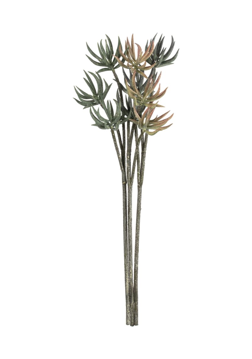 Mixed Green Aloe Spray