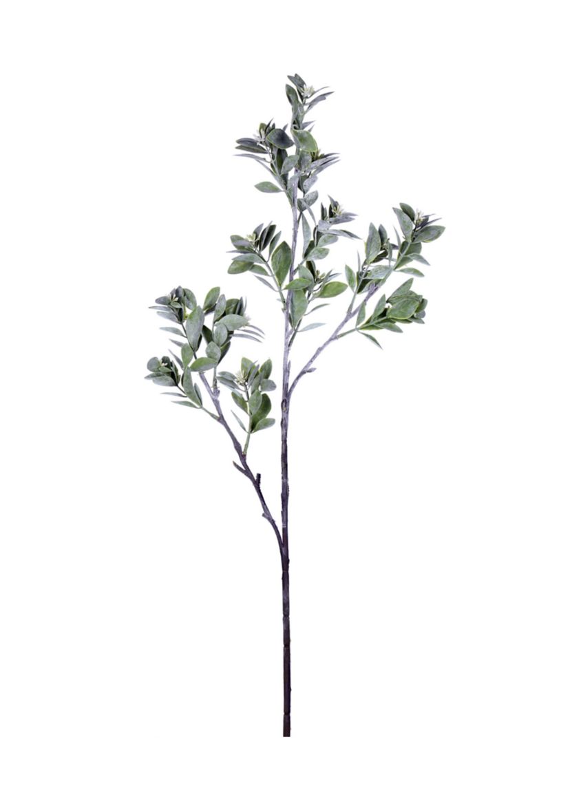 Green and White Aglaia Spray - Set of 3