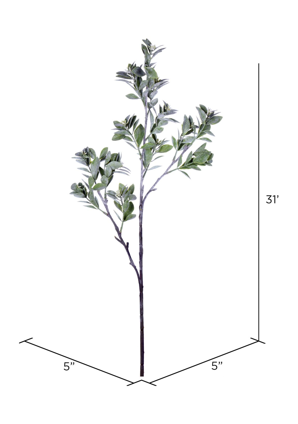 Green and White Aglaia Spray - Set of 3