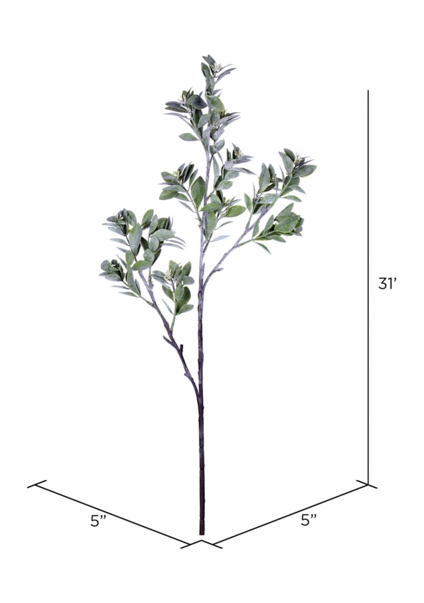 Green and White Aglaia Spray - Set of 3