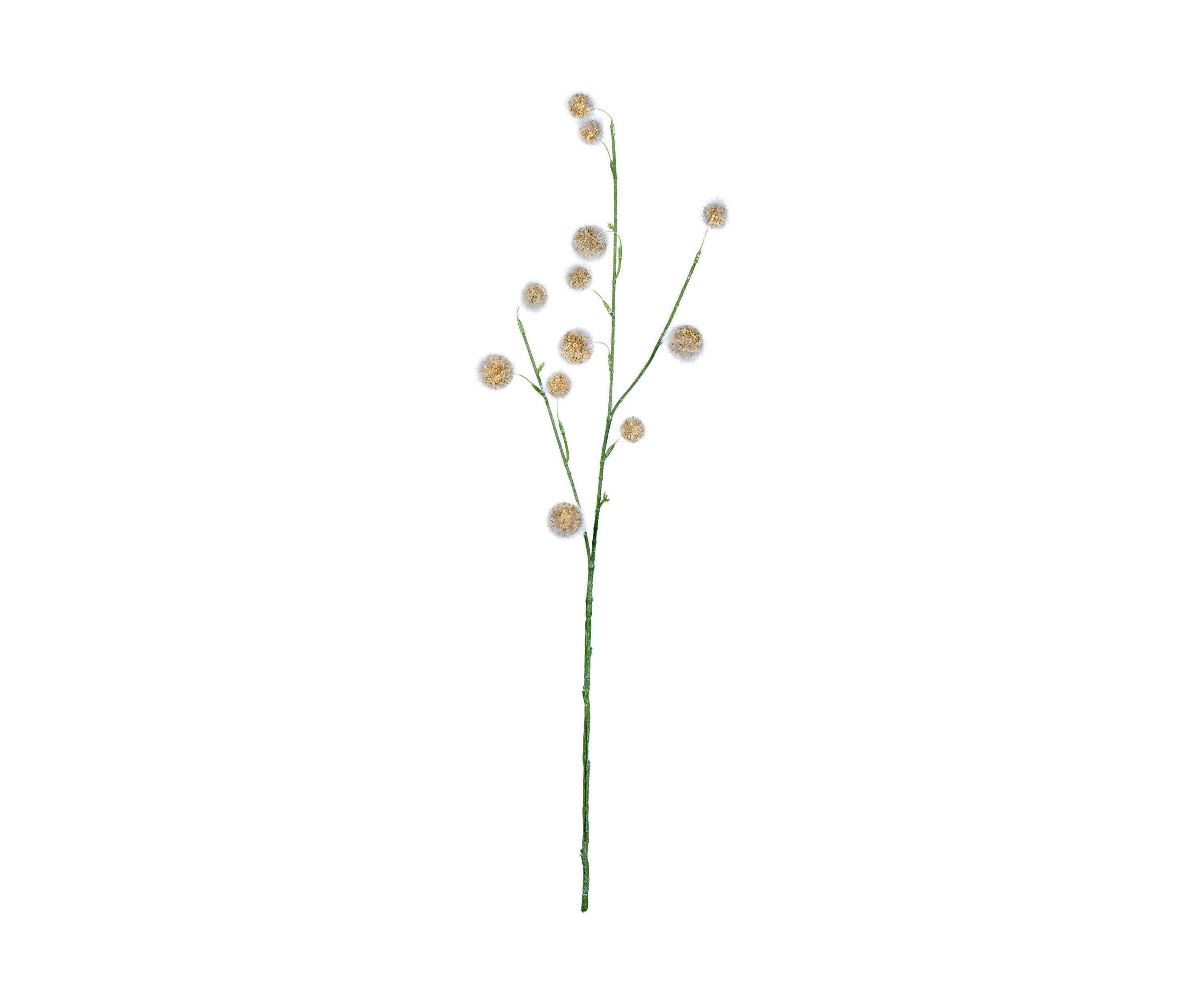Yellow Pom Pom Spray