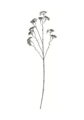 Vickerman Brown and White Patrinia Spray - Set of 6
