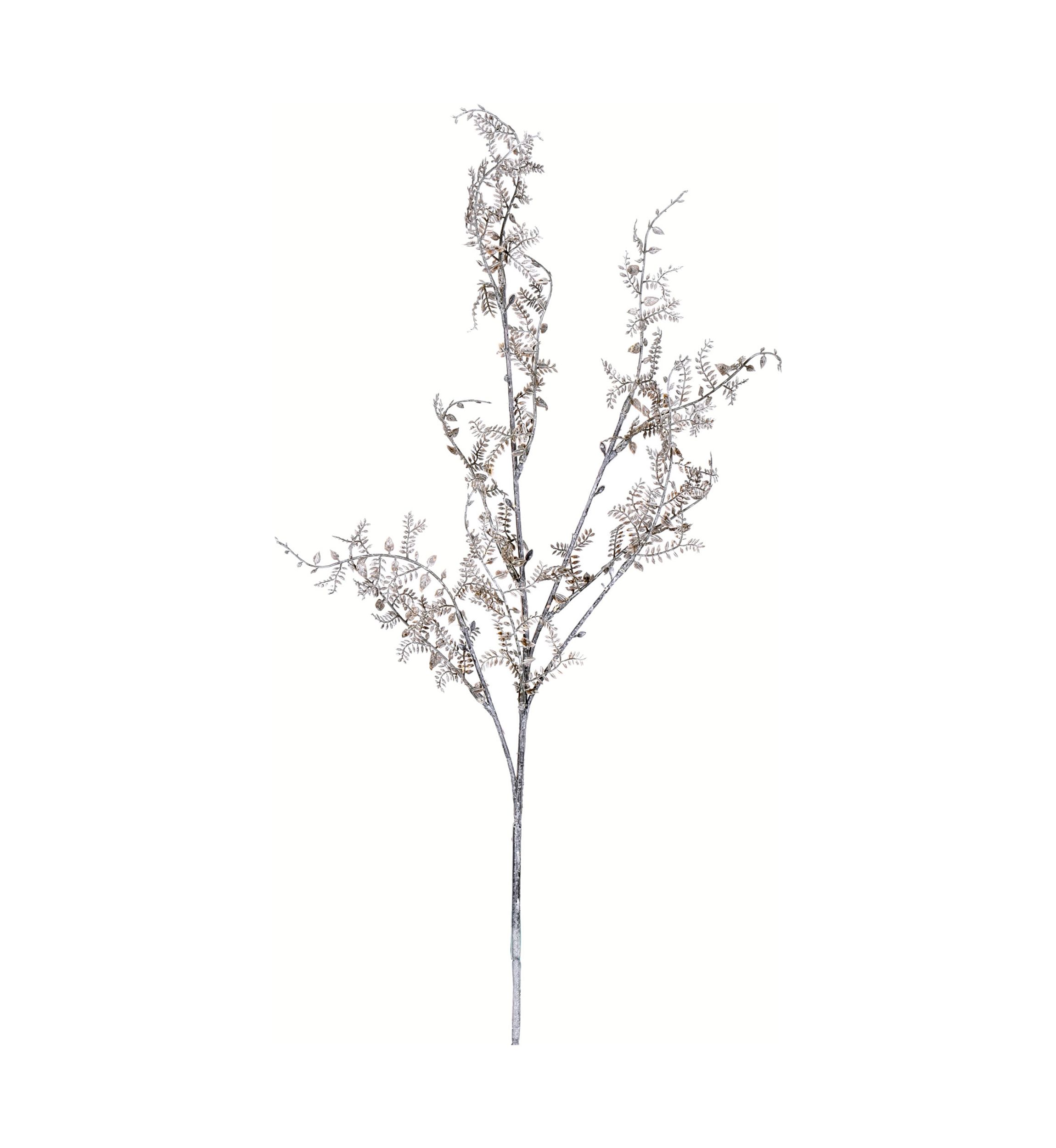 Brown and White Snake Fern Spray